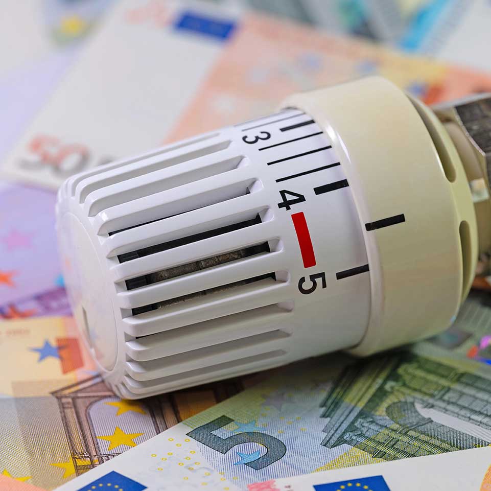 GModG Heizungscheck für Energieberater zur Online-Prüfung der Heizung